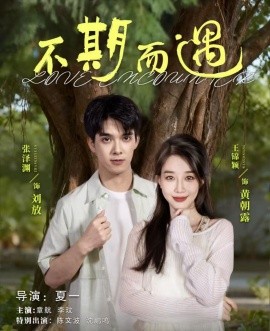不期而遇（62集）张泽渊＆王锦颖 (2025)-米创网