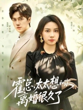 霍总，太太想和你离婚很久了（80集）陈政阳＆杨洛仟 (2025)-米创网