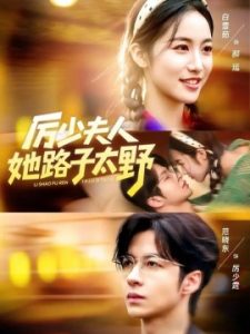 厉少夫人她路子太野（64集）范晓东＆白雪茹 (2025)-米创网