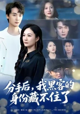 分手后，我黑客的身份藏不住了（80集）宋雯娟&唐元盛 (2025)-米创网