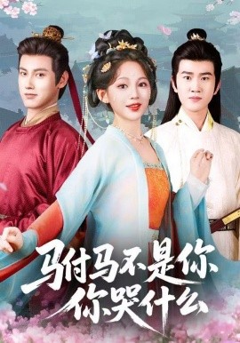 驸马不是你，你哭什么（49集）傅邦奇＆崔秀子 (2025)-米创网