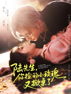 陆先生，你捡的小玫瑰又掀桌了（74集）钟正＆墨凝 (2025)-米创网