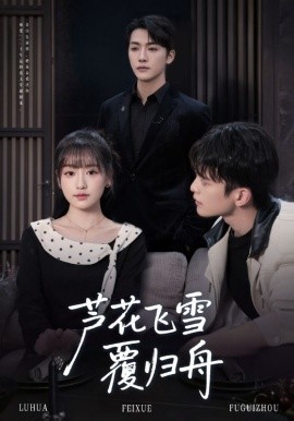 芦花飞雪覆归舟（77集）李咏靖&武伯言 (2025)-米创网