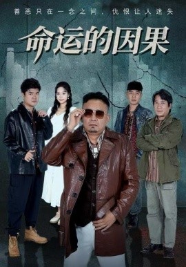 命运的因果（60集）贾楠&刘诣文 (2025)-米创网