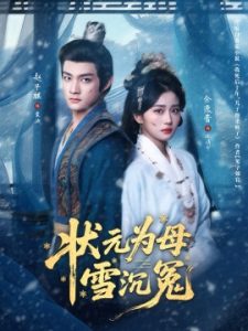 状元为母雪沉冤（58集）赵子麒＆余逸蕾 (2025)-米创网