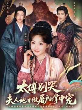 太傅别哭，夫人她甘做屠户的掌中宠（80集）王浩翔＆孟璐 (2025)-米创网