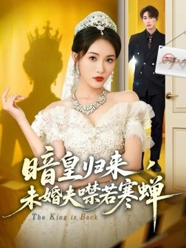 暗皇归来，未婚夫噤若寒蝉（65集）刘星辰＆王浩 (2025)-米创网