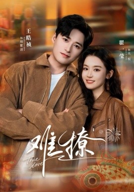 难撩＆亲完就跑周医生把她拉黑了（100集）王皓祯＆翟一莹 (2025)-米创网