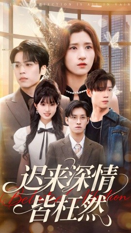 迟来深情皆枉然（80集）王志鹏＆贾博雅 (2025)-米创网