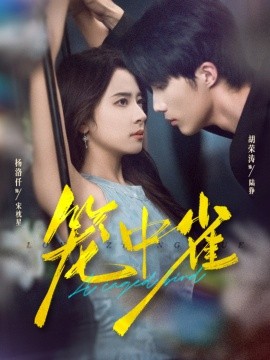 笼中雀（65集）胡荣涛&杨洛仟 (2025)-米创网