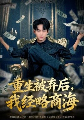 重生被弃后，我经略商海（80集）高哲＆王晴晴 (2025)-米创网