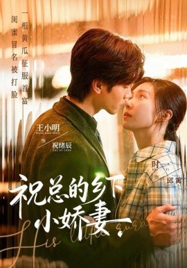 祝总的乡下小娇妻（79集）时一＆王小明 (2025)-米创网