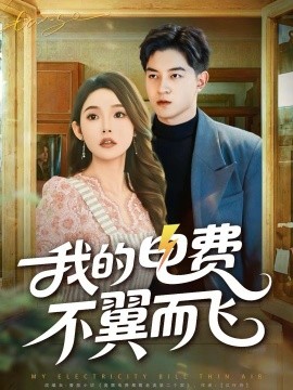我的电费不翼而飞（60集）贺龙天＆杨莯 (2025)-米创网