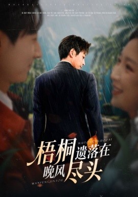 梧桐遗落在晚风尽头＆棠花不识旧时月（71集）赵琪&蒋未 (2025)-米创网