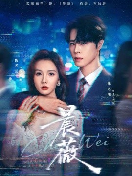 晨薇（61集）张达塬＆倪若芸 (2025)-米创网