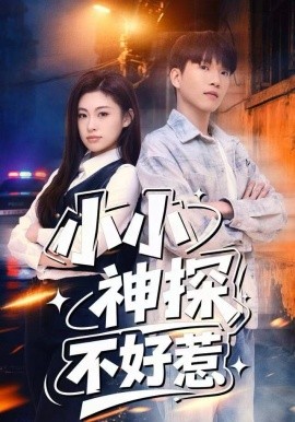 小小神探不好惹（80集）薛一凤&王奥龙 (2025)-米创网