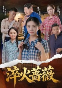 淬火蔷薇（50集）邱诗越&张正&魏龙 (2025)-米创网