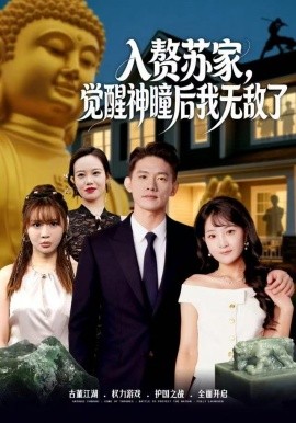 入赘苏家，觉醒神瞳后我无敌了（80集）梁溪＆朱信宗 (2025)-米创网