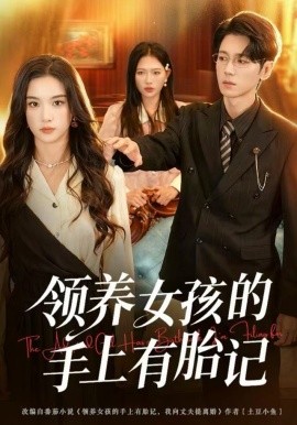 领养女孩的手上有胎记（60集）王宇婧&刘君尧 (2025)-米创网
