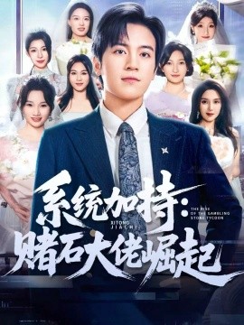 系统加持：赌石大佬崛起＆少年赌神：从原石到顶流（77集）田杨＆李芝桦 (2025)-米创网