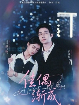 佳偶渐成（71集）张逸伦&王宇婧 (2025)-米创网