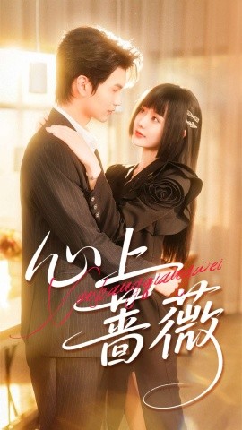 心上蔷薇（100集）张嘉松＆刘安歌 (2025)-米创网