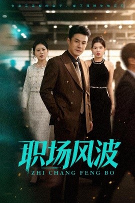 职场风波（50集）郑斌&罐小结 (2025)-米创网