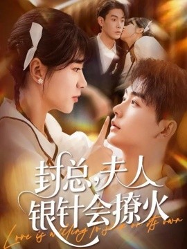 封总，夫人银针会撩火（69集）张昊＆徐海文 (2025)-米创网