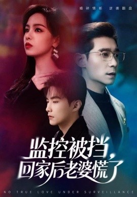监控被挡，回家后老婆慌了（60集）王昱赫&熊玉婷 (2025)-米创网