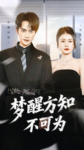 梦醒方知不可为（49集）李永臻＆叶一宁 (2025)-米创网