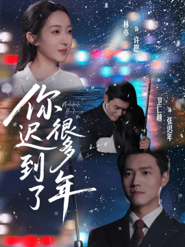 你迟到了很多年（30集）卫仁越＆林亦 (2025)-米创网