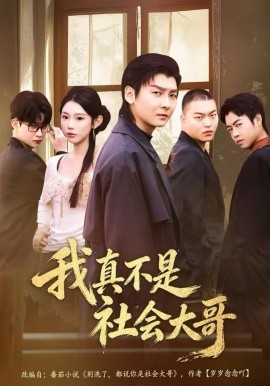 我真不是社会大哥（80集）初汶轩&哲博 (2025)-米创网