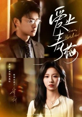 爱止青梅（60集）杨欢＆何怡婷 (2025)-米创网