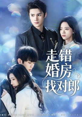 走错婚房找对郎（50集）刘辰锐＆刘艺然 (2025)-米创网