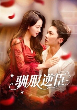 驯服逆臣（80集）黄圣桀＆张婉悦 (2025)-米创网