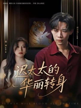 迟太太的华丽转身（80集）胡金池＆路婷 (2025)-米创网