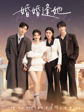婚婚逢她（59集）王年将成＆何田田＆薛子祺＆向帅 (2025)-米创网