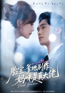 胎宝：爹地别作，妈咪是真大佬（60集）宋哲伦&张婉芳 (2026)-米创网