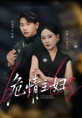 危情主妇（60集）刘晗&张恩浩&邱潇 (2026)-米创网