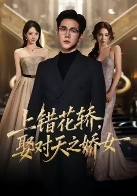 上错花轿，娶对天之娇女（66集）龙泽鸣＆董炜 (2026)-米创网