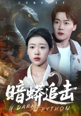 暗蟒追击（35集）王盈心＆赵文硕 (2026)-米创网