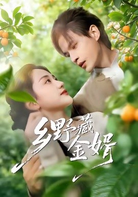 乡野藏金婿（50集）冯琳玲＆吴杰 (2026)-米创网