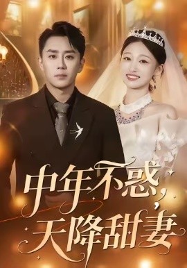 中年不惑，天降甜妻（60集）卓颐＆阎纪圻 (2026)-米创网