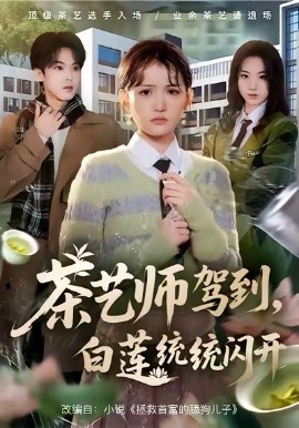 茶艺师驾到，白莲统统闪开（65集）安晓洁&李泊翰 (2026)-米创网