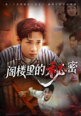 阁楼里的秘密（76集）黄佳俊&靳坤&吴胤皓 (2026)-米创网