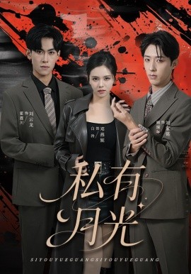 私有月光（78集）刘云龙＆邓燕妮 (2026)-米创网