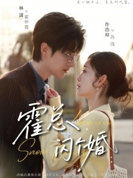 霍总，闪个婚（86集）仵浩瑄&林潇 (2026)-米创网
