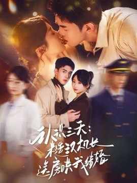 认识三天：糙汉机长送房哄我结婚（71集）王天昊&田欣雅 (2026)-米创网
