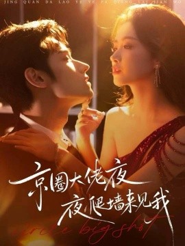 京圈大佬夜夜爬墙来见我＆吻上瘾，顾总他破防了（73集）赵星卉＆袁凯凯 (2026)-米创网
