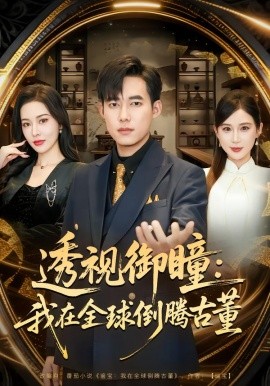 透视御瞳：我在全球倒腾古董（80集）王大钱&张子唯 (2026)-米创网